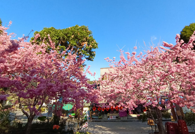 阿里山鄉農會